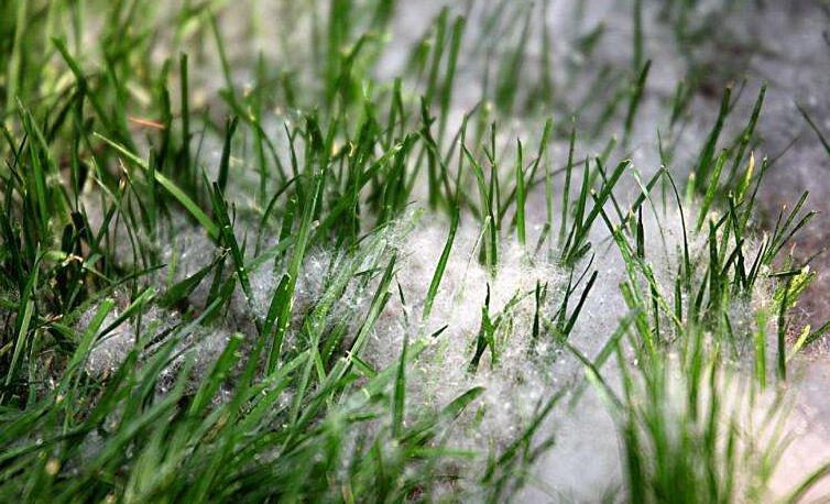 冬季將至，如何除去人造草皮中的冰雪？鉆石地為您支招